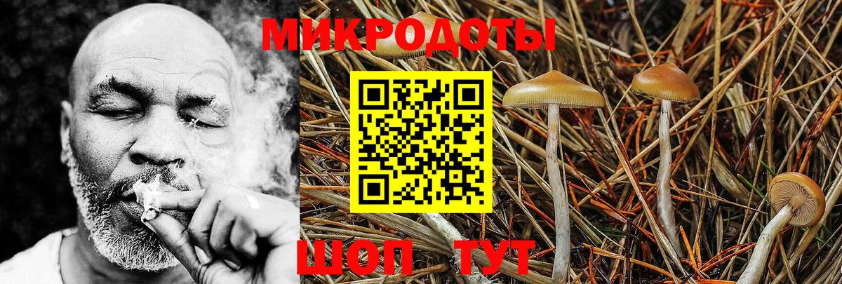 Северодвинск  Псилоцибиновые грибы Cubensis  Вход с VPN 